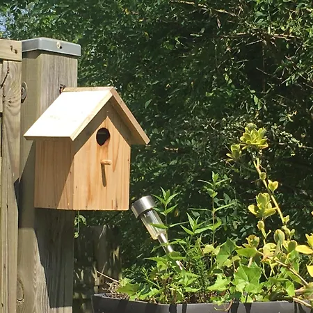 別荘 Terracotta : De Charme En Avesnois